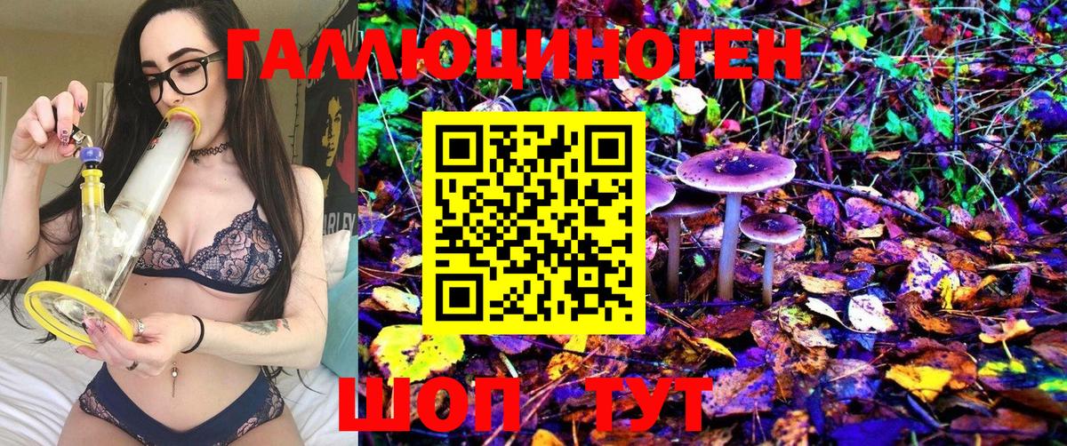 Галлюциногенные грибы Psilocybe Тавда